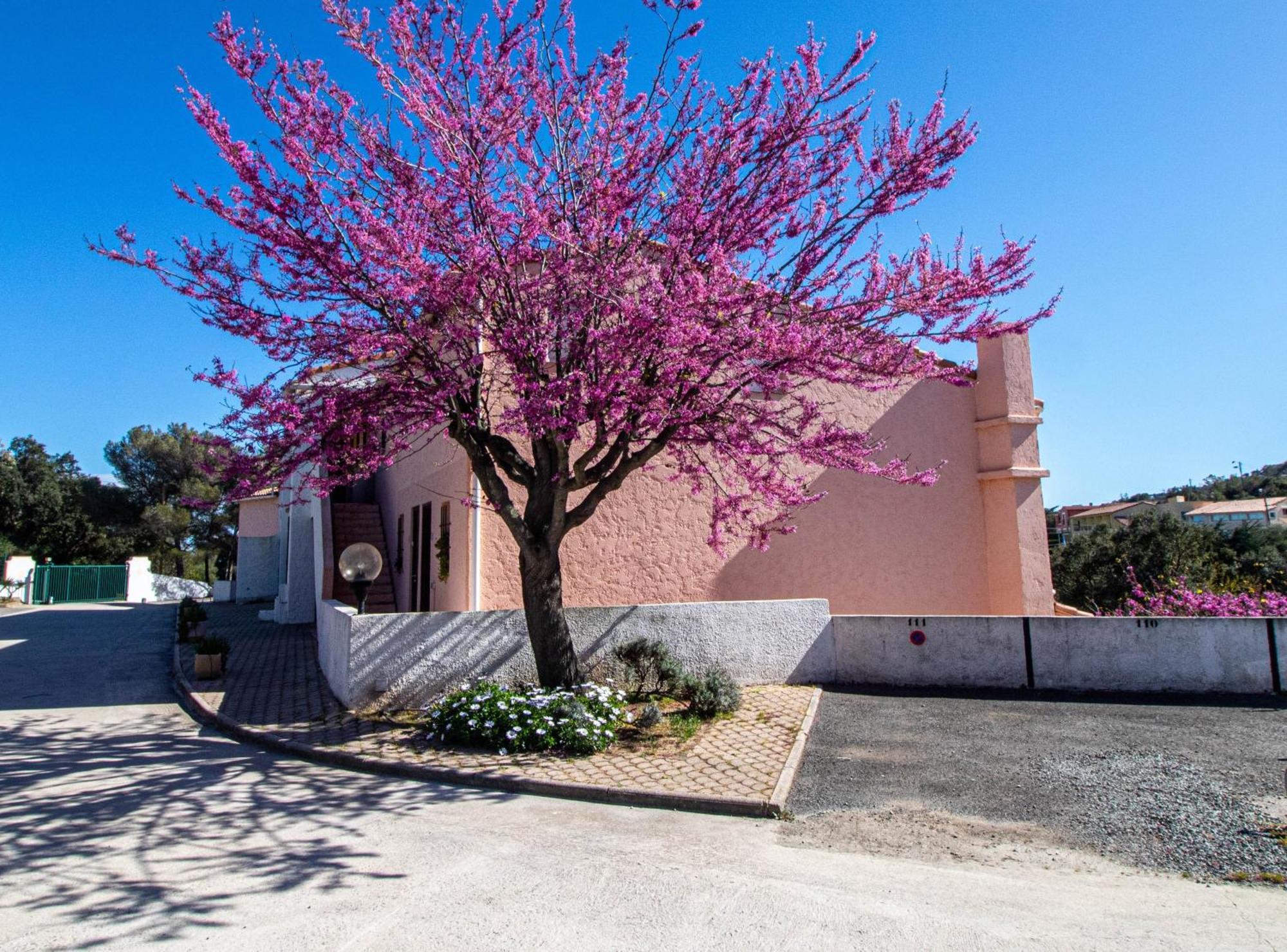 Vacances Familiales Dans Camping Avec Piscine Fréjus Chambre photo